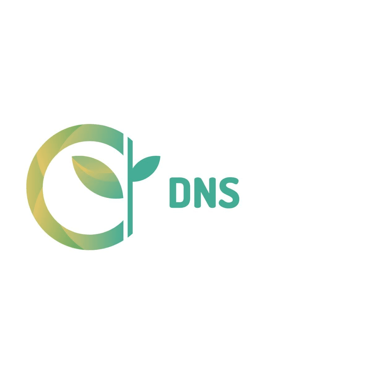 DNS Logo